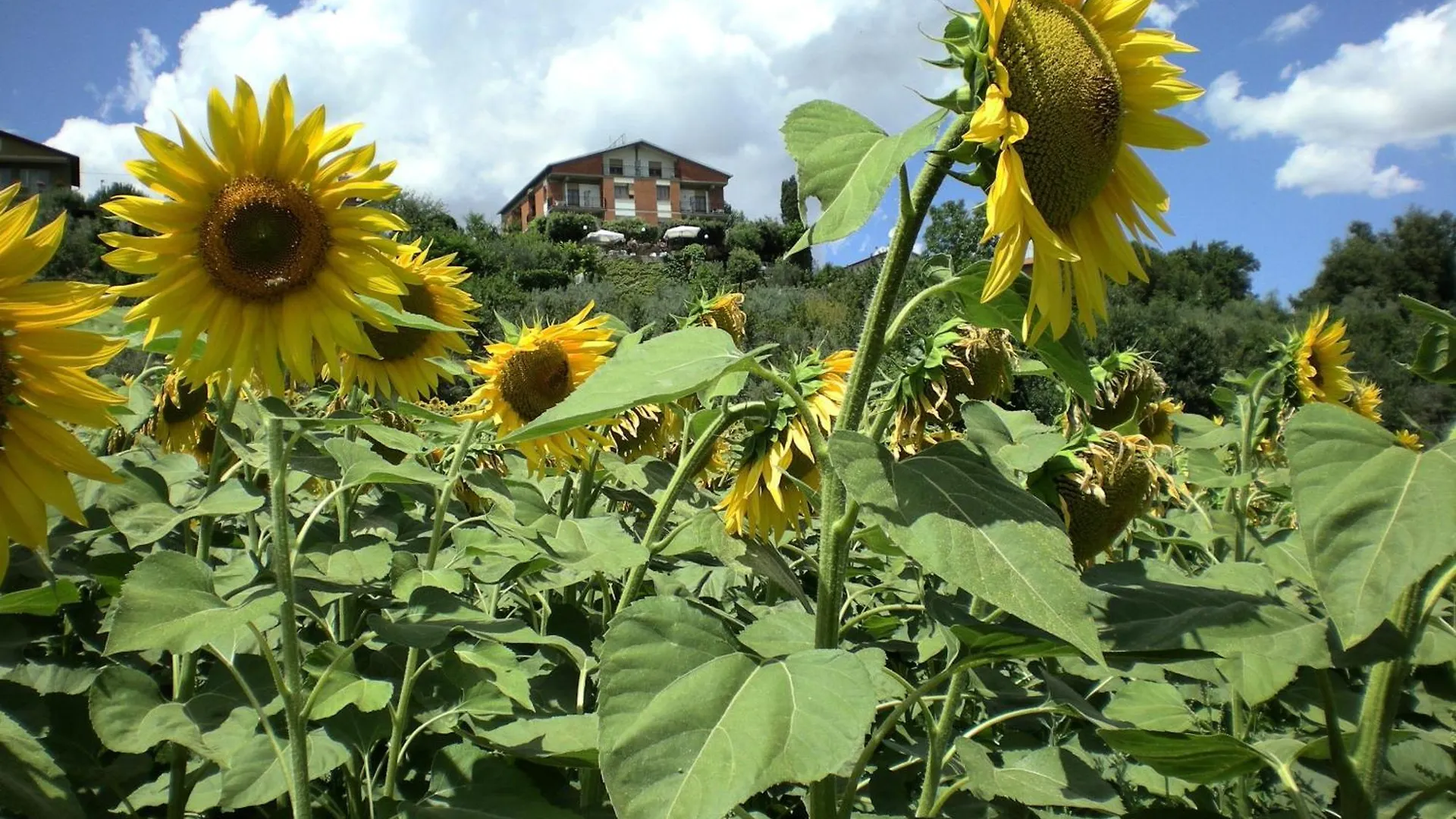 Hotel Sangallo B&B Montepulciano Stazione 2*,  이탈리아