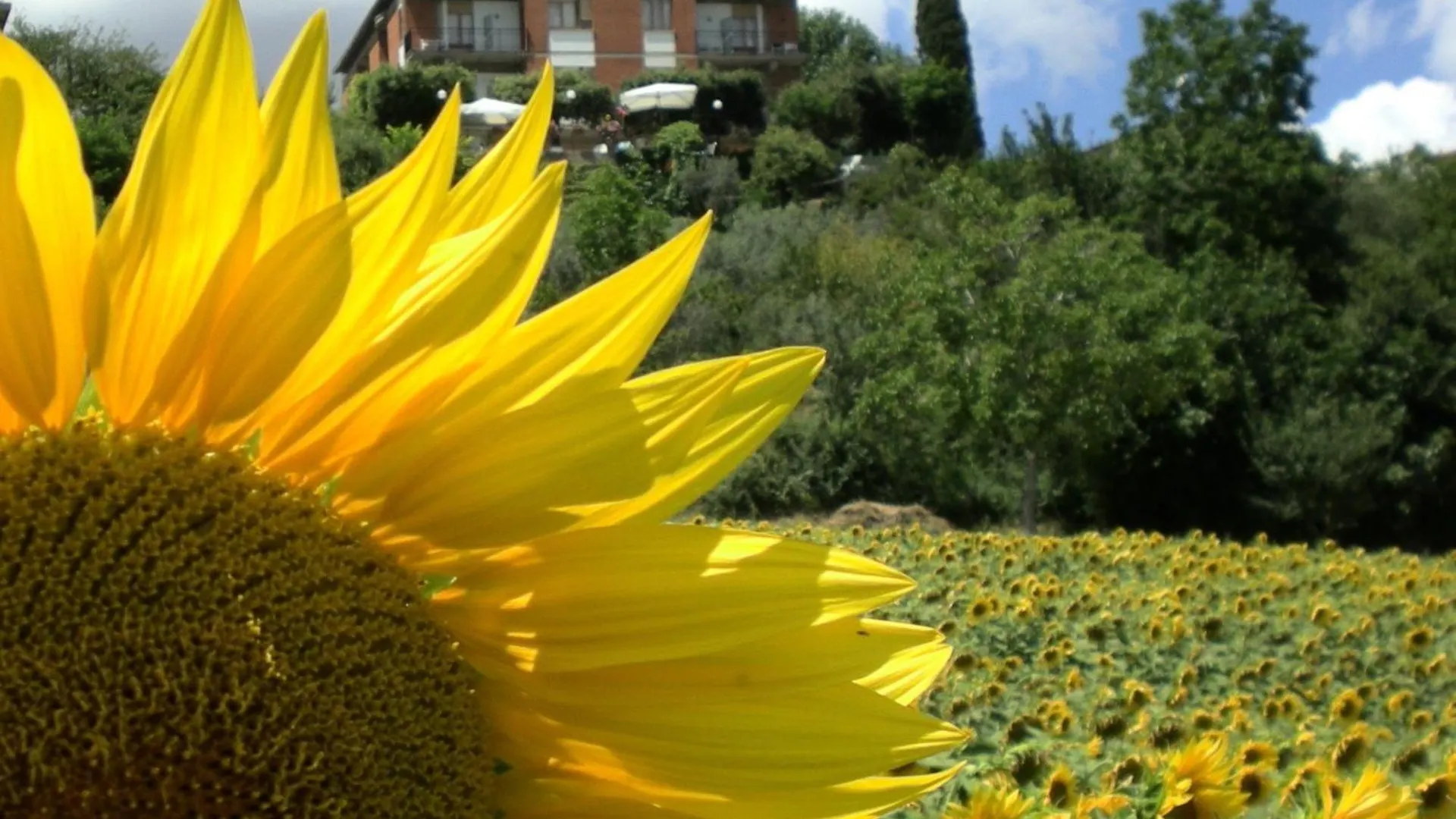Hotel Sangallo B&B Montepulciano Stazione